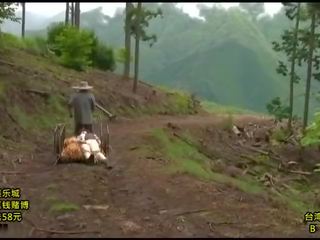 कंट्री प्यार स्टोरी